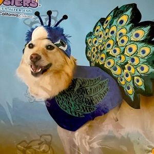 Dog peacock costume NWT